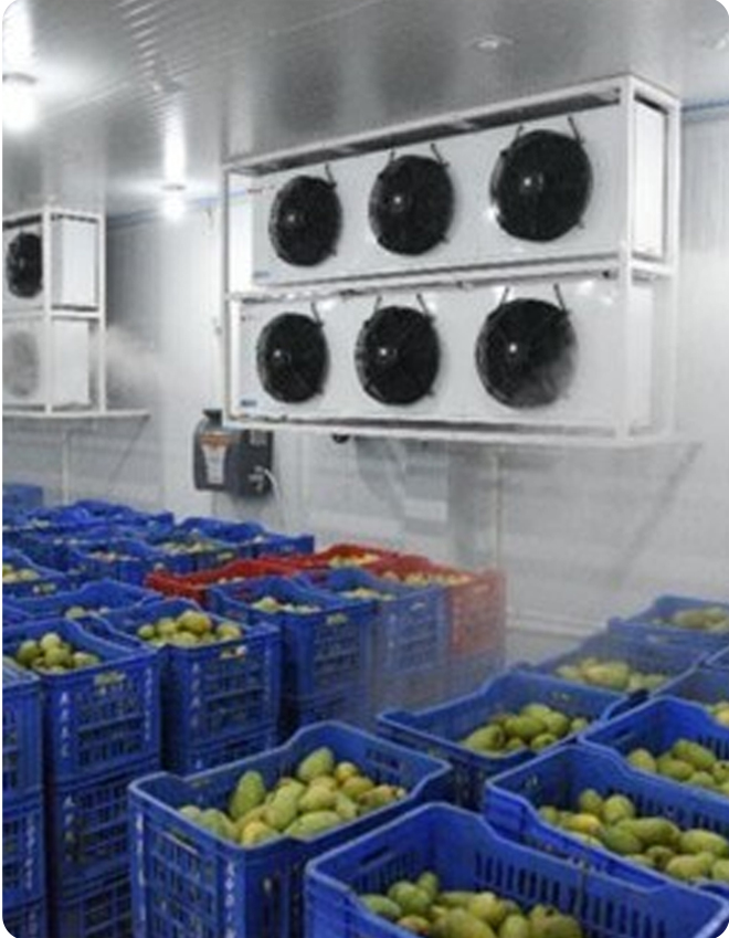 Ripening process